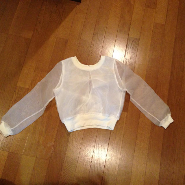 Lily Brown(リリーブラウン)のオーガンジーTOPS レディースのトップス(カットソー(長袖/七分))の商品写真