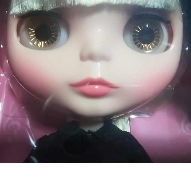 Takara Tomy(タカラトミー)の未使用ネオブライス　頭皮パーツなし　素体のみ「カデンスマジョレット」No.2 ハンドメイドのぬいぐるみ/人形(人形)の商品写真