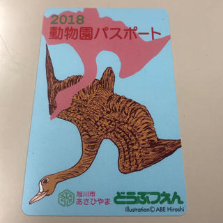 旭山動物園 パスポート  ５月25日 期限(動物園)