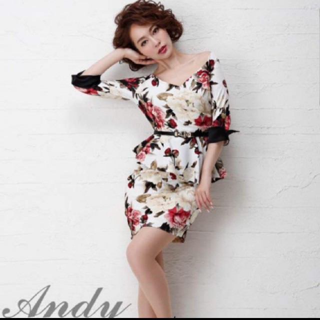 Andy(アンディ)のAndy 袖付きドレス Mサイズ レディースのフォーマル/ドレス(ナイトドレス)の商品写真