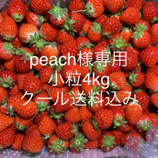 peach様専用●小粒苺4kg●さがほのか●クール便(フルーツ)