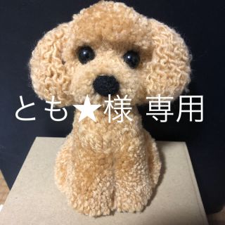 動物ぽんぽん トイプードル アプリコット(その他)