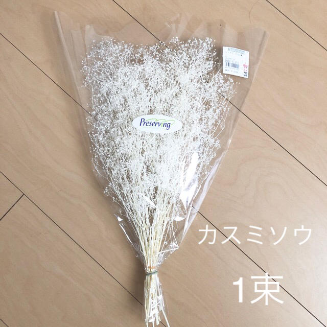 カスミソウ 白 1束 かすみ草 花材 ホワイト プリザーブド ハンドメイドのフラワー/ガーデン(プリザーブドフラワー)の商品写真