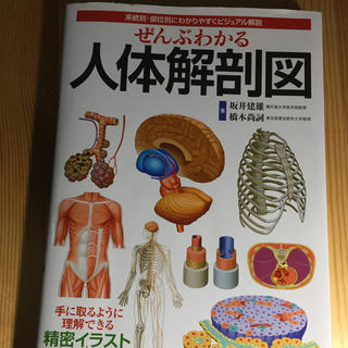 人体解剖図 ぜんぶわかる(健康/医学)
