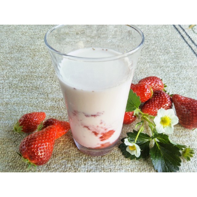 完熟とちおとめ🍓いちごみるくの素②袋　冷凍　いちご　☆送料一律1000円 食品/飲料/酒の食品(フルーツ)の商品写真