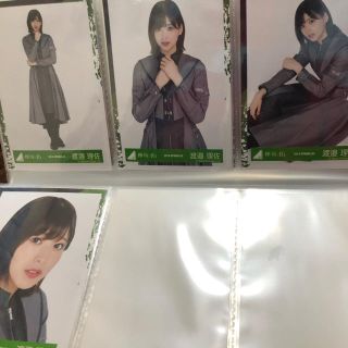 ケヤキザカフォーティーシックス(欅坂46(けやき坂46))の欅坂46 生写真 渡邉理佐(アイドルグッズ)