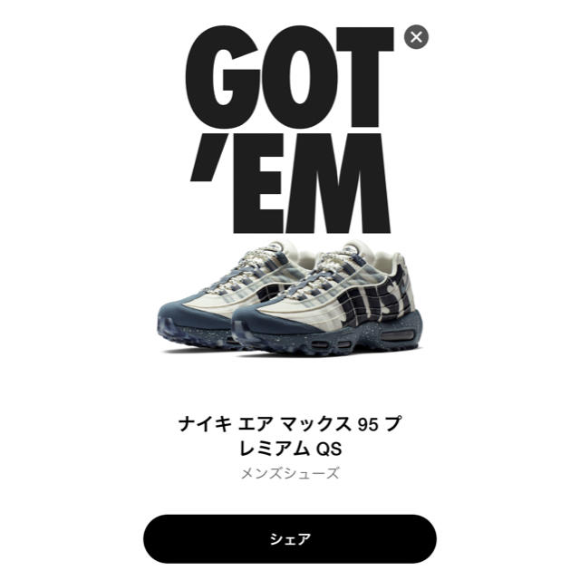 NIKE エアマックス95 富士 25.5