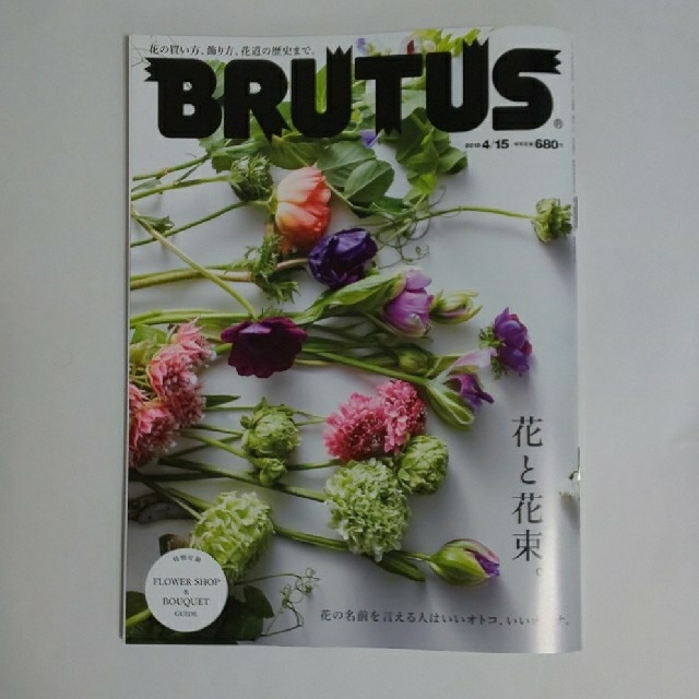 マガジンハウス(マガジンハウス)のブルータス  BRUTUS  4/15 抜け有りの１冊 エンタメ/ホビーの雑誌(アート/エンタメ/ホビー)の商品写真