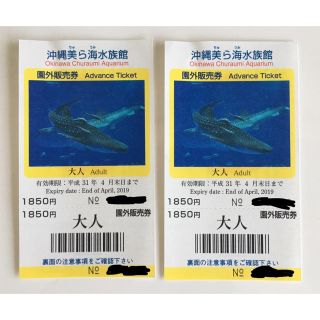 沖縄美ら海水族館  チケット(水族館)