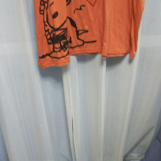 Belluna(ベルーナ)のビッグTシャツ(M～3L商品) レディースのトップス(Tシャツ(半袖/袖なし))の商品写真