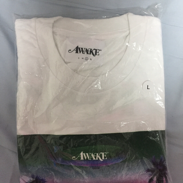 AWAKE(アウェイク)のtzuyu様専用 新品 L awake ny × dsmny コラボ Ｔシャツ メンズのトップス(Tシャツ/カットソー(半袖/袖なし))の商品写真