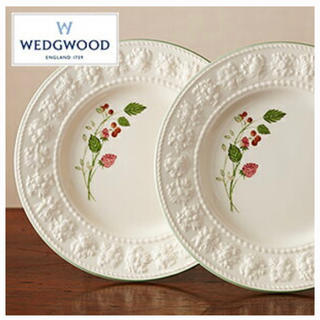 ウェッジウッド(WEDGWOOD)の【新品未使用】WEDGWOOD フェスティビティ ラズベリー プレート2枚 (食器)