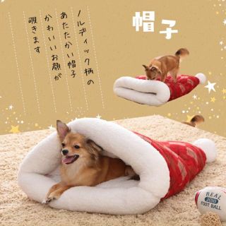 激かわ！ペットベッド ハウス 帽子　猫ちゃんワンちゃん(犬)