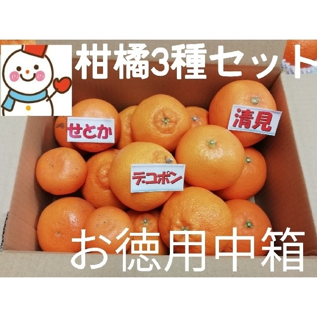 ③柑橘Se tお徳中箱❗デコ＆せとか＆清見♥️雪だるまより 食品/飲料/酒の食品(フルーツ)の商品写真