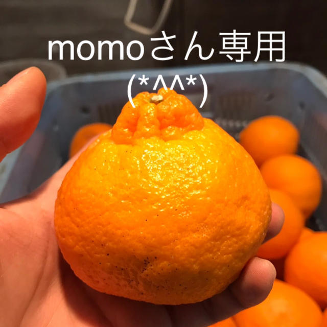 momoさん専用ページとなります(*^^*) 食品/飲料/酒の食品(フルーツ)の商品写真