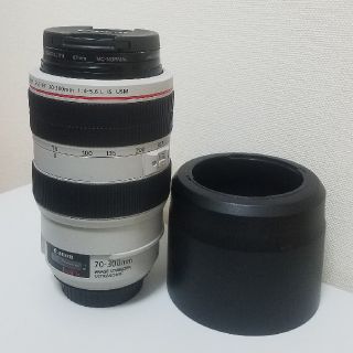 キヤノン(Canon)のコメット113様専用(レンズ(ズーム))