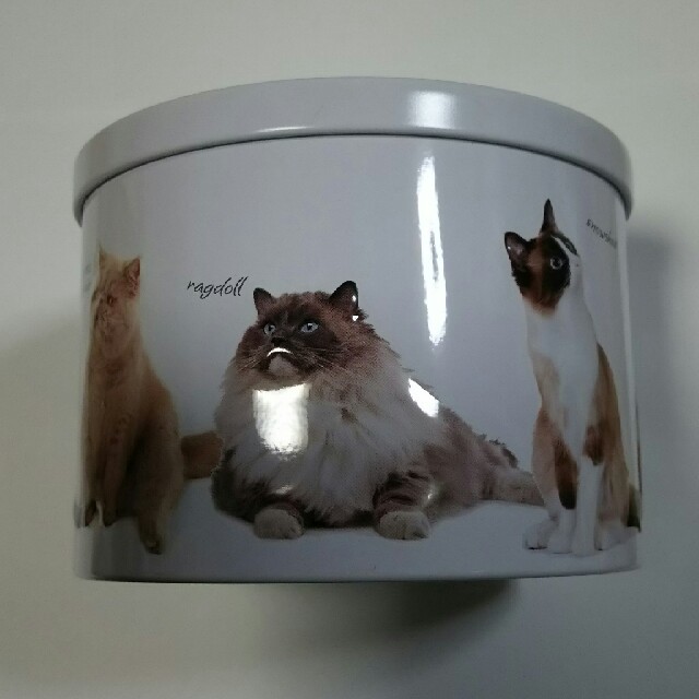 KALDI(カルディ)のカルディ 可愛い 猫缶 イギリス製 インテリア/住まい/日用品のインテリア小物(小物入れ)の商品写真
