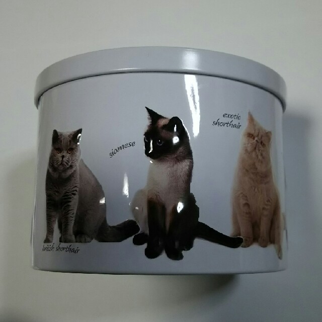 KALDI(カルディ)のカルディ 可愛い 猫缶 イギリス製 インテリア/住まい/日用品のインテリア小物(小物入れ)の商品写真