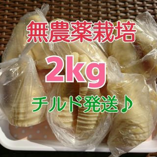 【チルド発送♪】《無農薬栽培》
和歌山県産 孟宗たけの子 水煮 2kg(野菜)