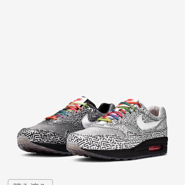 【US10.5】NIKE AIRMAX1  TOKYO MAZE