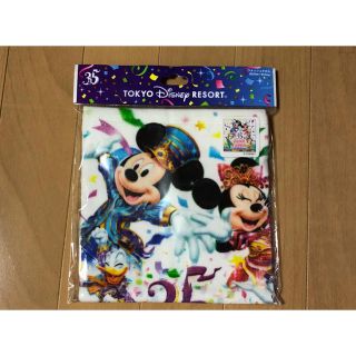 ディズニー(Disney)のディズニーランド タオル ☆新品☆(キャラクターグッズ)