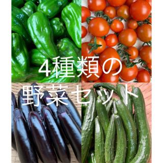 4種類の野菜セット(野菜)