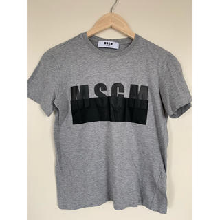 エムエスジイエム(MSGM)のMSGM グレー Tシャツ XS(Tシャツ(半袖/袖なし))