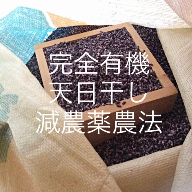 黒米 500g (安心安全(o^^o))  食品/飲料/酒の食品(米/穀物)の商品写真