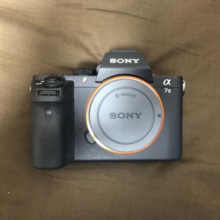 ソニー(SONY)のSONY a7II(ミラーレス一眼)