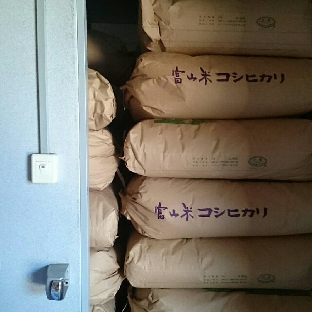 kumakoさん専用 30年富山県産１等米(検査済)コシヒカリ玄米10㎏を精米 食品/飲料/酒の食品(米/穀物)の商品写真