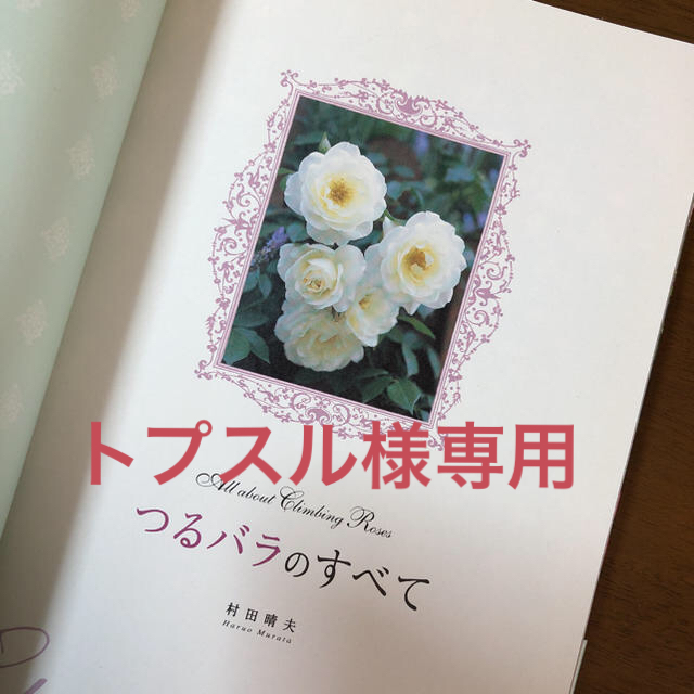 講談社(コウダンシャ)の「つるバラのすべて」 エンタメ/ホビーの本(趣味/スポーツ/実用)の商品写真