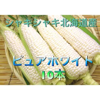 北海道産 ゆでトウモロコシ 有機JAS認定(野菜)