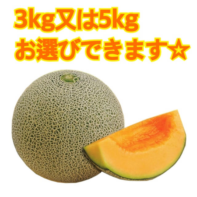 産地直送 茨城県鉾田市産 むつみレッド 3kg 5kg 糖度15度以上 食品/飲料/酒の食品(フルーツ)の商品写真