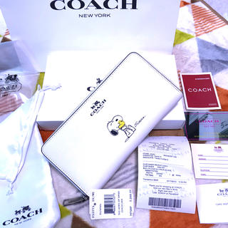 コーチ(COACH)の新品未使用 新品未使用COACHコーチ レディース財布 F53773 スヌーピー(財布)