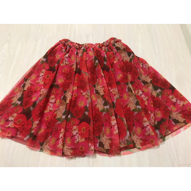DOLLY GIRL BY ANNA SUI(ドーリーガールバイアナスイ)のレディーススカート レディースのスカート(ひざ丈スカート)の商品写真