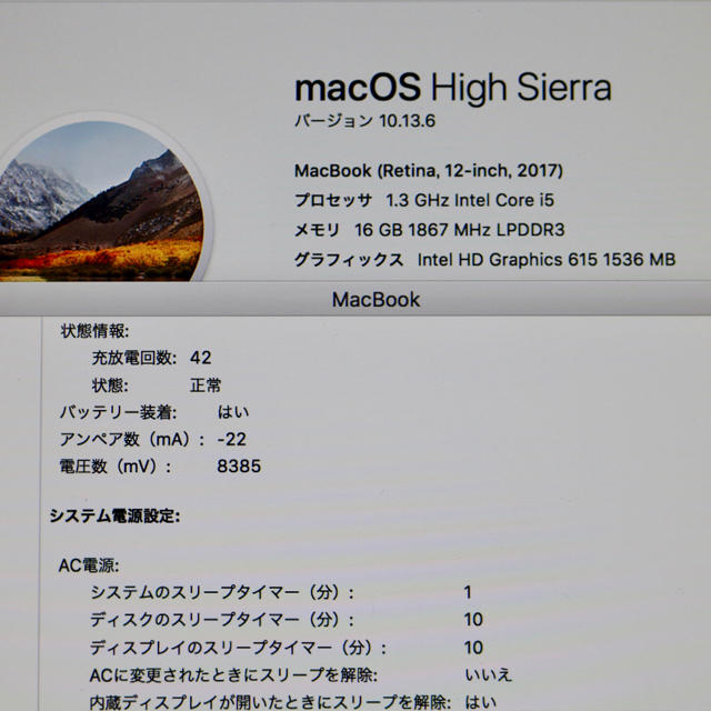 MacBook 12 シルバー 2017モデル メモリ16GB AC +-