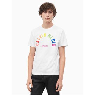 カルバンクライン(Calvin Klein)のカルバンクライン Tシャツ XLサイズ 日本未発売モデル 新品未使用(Tシャツ/カットソー(半袖/袖なし))