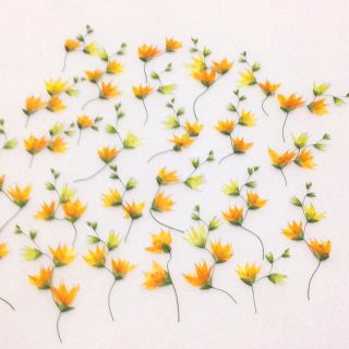 ✿商談中✿ 64 押し花セット♡即日発送✿ハンドメイド 素材 小花(ドライフラワー)