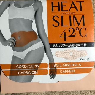 Heat Slim 42℃(エクササイズ用品)