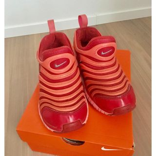 ナイキ(NIKE)のNIKE ナイキダイナモフリー 19.5センチ(スニーカー)