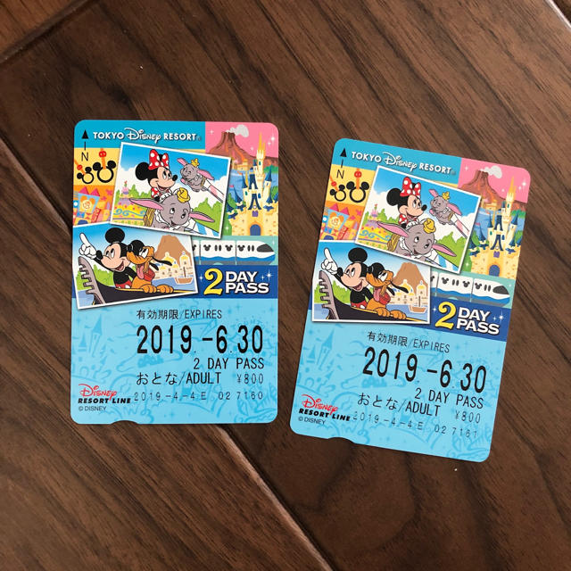 Disney(ディズニー)のディズニーリゾートライン 2day PASS チケットの施設利用券(遊園地/テーマパーク)の商品写真