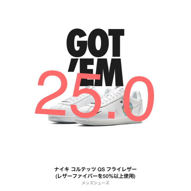 NIKE(ナイキ)のnike  cortez earth day collection メンズの靴/シューズ(スニーカー)の商品写真