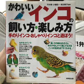 かわいいインコの飼い方 インコ 本(鳥)