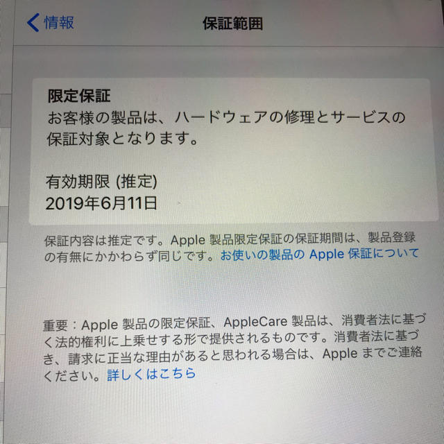 iPad第6世代32G スペースグレイ 3