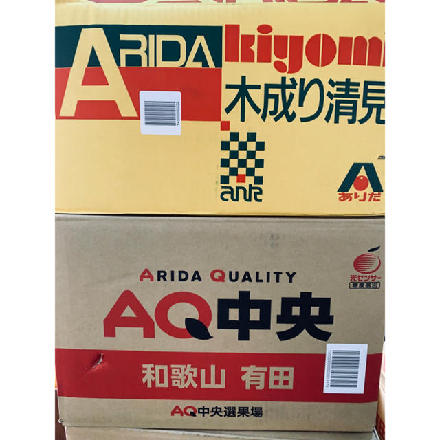 和歌山県 傷あり訳あり清見オレンジ約10kg 食品/飲料/酒の食品(フルーツ)の商品写真