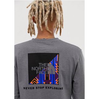 ザノースフェイス(THE NORTH FACE)の【Mサイズ】日本未発売 ノースフェイス海外モデル レイジコレクション ロンT(Tシャツ/カットソー(七分/長袖))