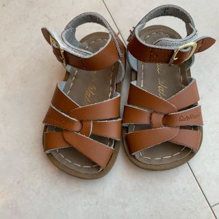 コドモビームス(こどもビームス)のsalt water sandals サイズ4  12.7cm(サンダル)