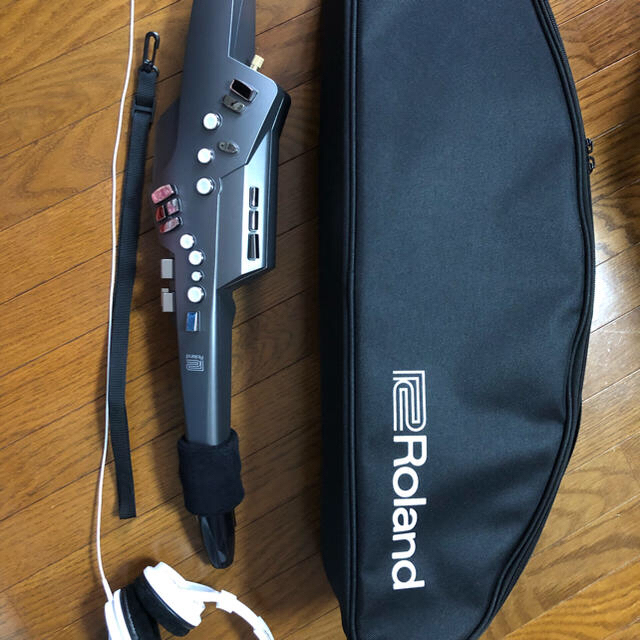 Roland(ローランド)のRoland Aerophone AE-10G 楽器の管楽器(サックス)の商品写真