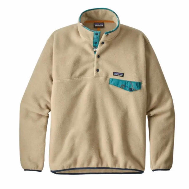 patagonia(パタゴニア)のLサイズ patagonia パタゴニア シンチラ snapT メンズのジャケット/アウター(ブルゾン)の商品写真