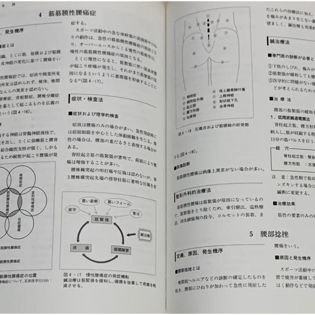 鍼のエビデンス 鍼灸臨床評価論文のアブストラクト エンタメ/ホビーの本(健康/医学)の商品写真